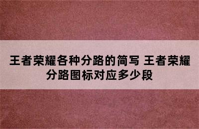 王者荣耀各种分路的简写 王者荣耀分路图标对应多少段